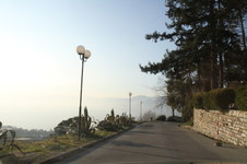 Enlarge photo 39