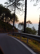 Enlarge photo 54