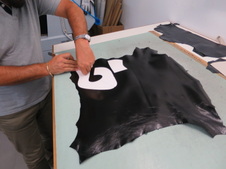 Enlarge photo 32