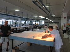 Enlarge photo 125