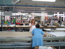 Enlarge photo 135