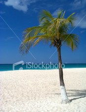 Enlarge photo 33