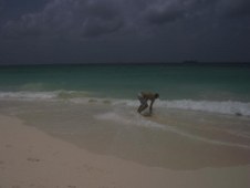 Enlarge photo 38
