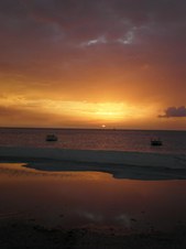 Enlarge photo 40