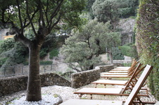 Enlarge photo 20