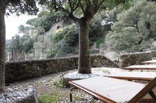 Enlarge photo 21