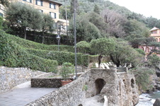 Enlarge photo 25