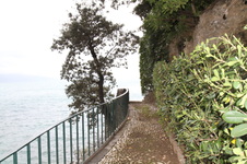 Enlarge photo 27