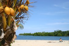 Belize Luxury Eco-lodge