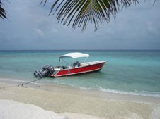 Enlarge photo 28