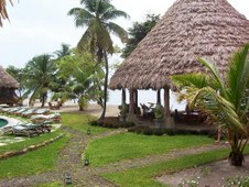 Enlarge photo 30
