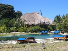 Enlarge photo 35