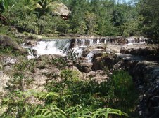 Enlarge photo 39