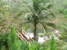 Enlarge photo 40