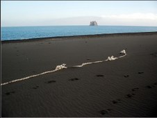 Enlarge photo 1