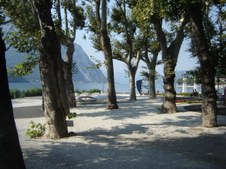 Enlarge photo 44