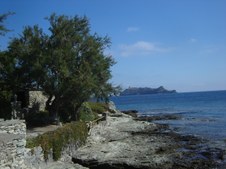 Enlarge photo 9