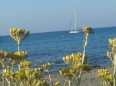 Enlarge photo 14
