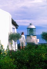 Enlarge photo 25