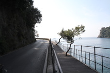 Enlarge photo 19