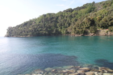 Enlarge photo 21