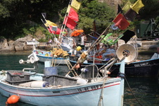 Enlarge photo 39