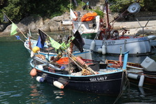 Enlarge photo 43