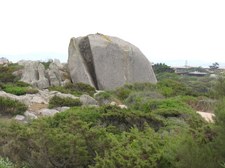 Enlarge photo 16