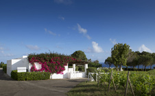 Enlarge photo 13