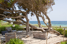 Enlarge photo 68