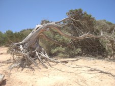 Enlarge photo 26