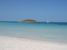 Enlarge photo 35