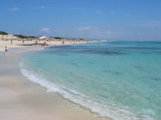Enlarge photo 36