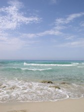 Enlarge photo 44