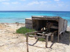 Enlarge photo 45