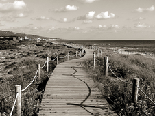 Enlarge photo 49