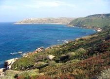 Enlarge photo 13
