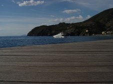 Enlarge photo 35