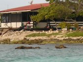 Enlarge photo 32