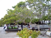 Enlarge photo 42