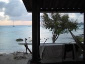 Enlarge photo 37