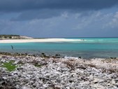 Enlarge photo 44