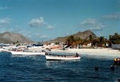 Enlarge photo 53
