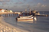 Enlarge photo 54