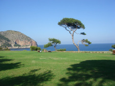 Enlarge photo 22