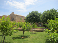 Enlarge photo 18