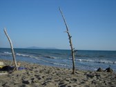 Sea Park 2