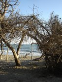Enlarge photo 17