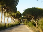 Enlarge photo 25