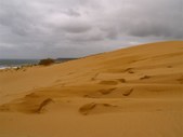 Enlarge photo 40
